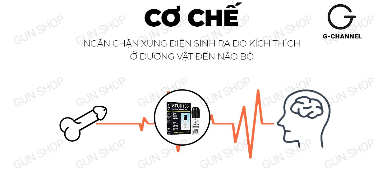 Chai xịt Anh Stud 100