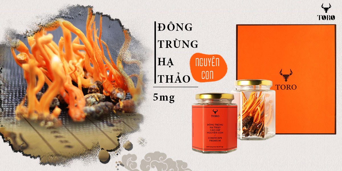 Đông Trùng Hạ Thảo Cao Cấp Tăng Sinh Lý Bồi Bổ Cơ Thể Chính Hãng