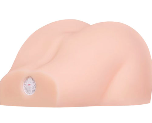 Phân phối Mông giả nguyên khối silicon Leten Yuihatano 10kg tốt nhất