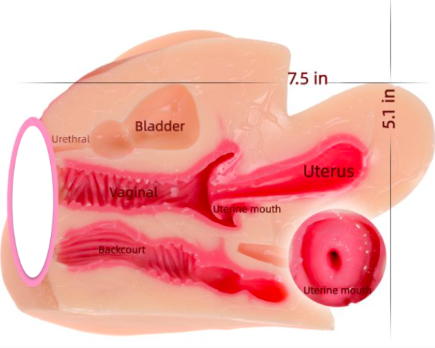 Âm đạo giả ManMiao 3 đầu rung sưởi ấm và cấu trúc tử cung như thật