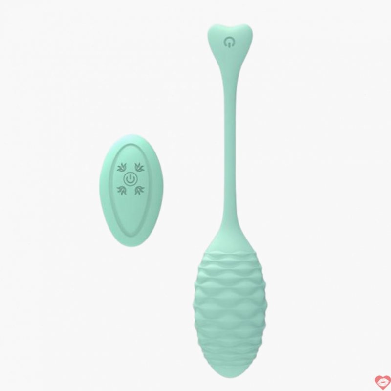 Trứng Rung Đuôi Cá MeetFun Gân Sóng Nổi Điều Khiển Từ Xa 1005005372978354