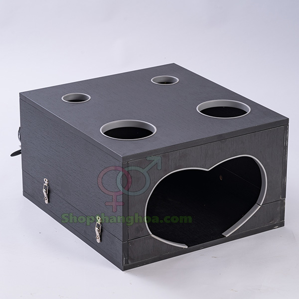 Đồ chơi bạo dâm hộp gỗ trừng phạt kích thích cao cấp cho đôi
