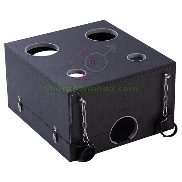 Đồ chơi bạo dâm hộp gỗ trừng phạt kích thích cao cấp cho đôi