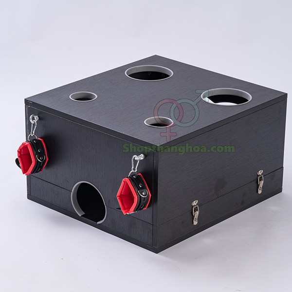 Đồ chơi bạo dâm hộp gỗ trừng phạt kích thích cao cấp cho đôi