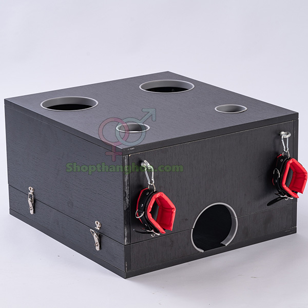 Đồ chơi bạo dâm hộp gỗ trừng phạt kích thích cao cấp cho đôi