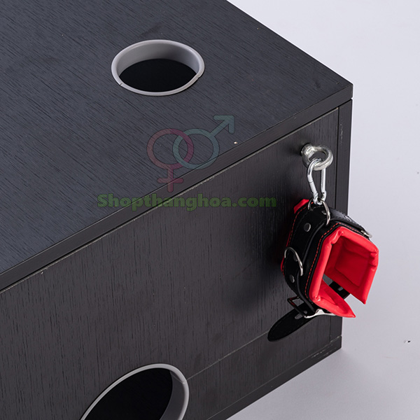 Đồ chơi bạo dâm hộp gỗ trừng phạt kích thích cao cấp cho đôi