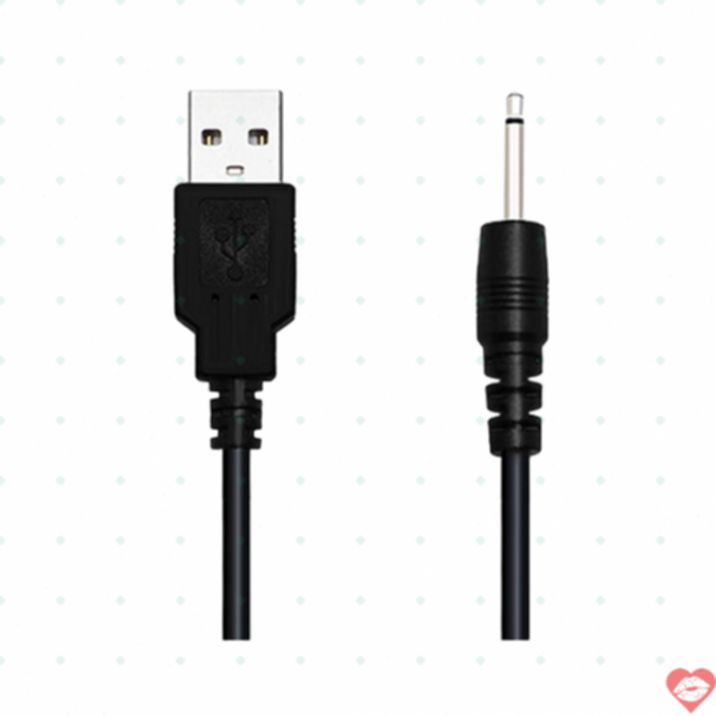 Dây Sạc Lovense Chính Hãng Bền 